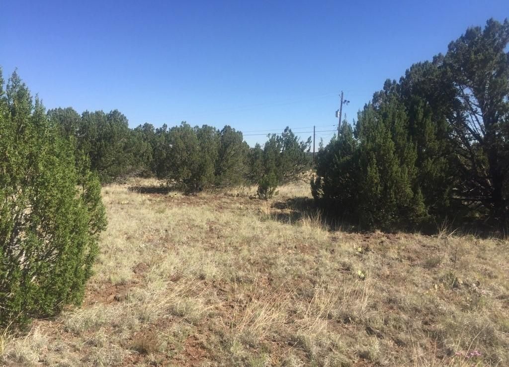 LAND / Lot Own A Piece Of Heaven ,For Sale Buy Owner, 1/3 Acer ,Paved ,Lake , Electric ,Water, (For Sale Buy Owner )