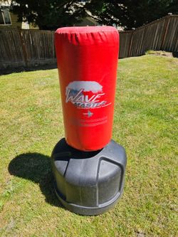 Training bag