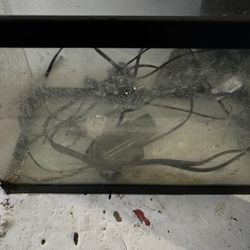20 Gallon High Terrarium No Lights No Substrate Knowledge Chest To Tank Does Not Hold Water