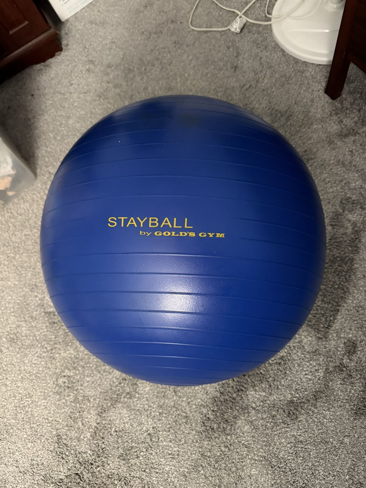 Stayball by Golds Gym