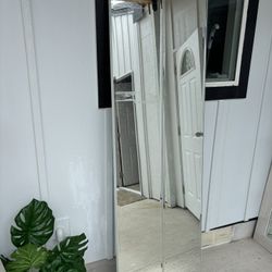 Mirror Closet Door