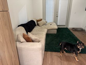 Large Modular Couch