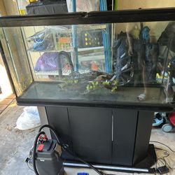 55 Gallon Fish Tank with Stand and Filter