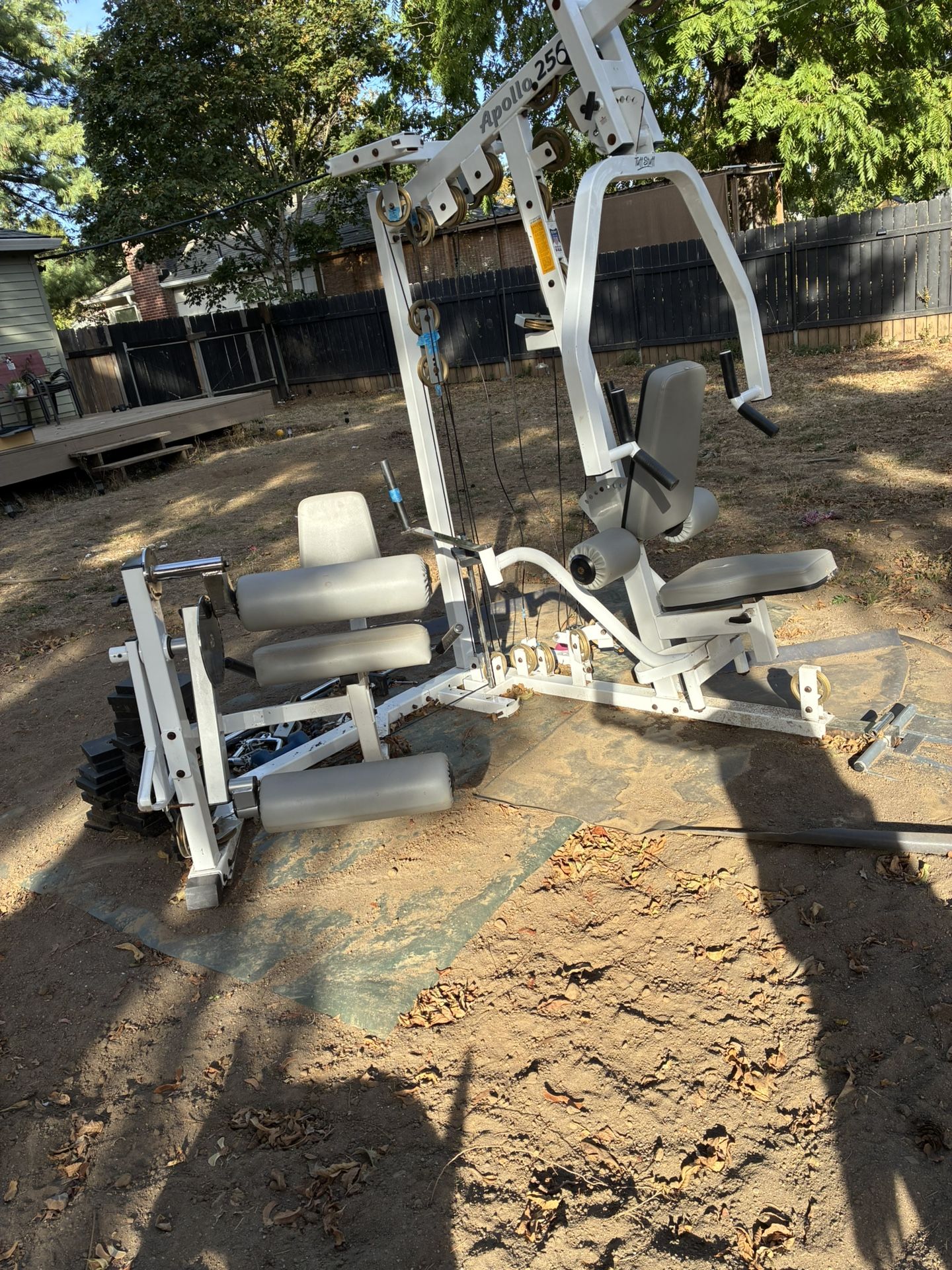 $50 All