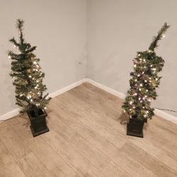 Christmas Trees 