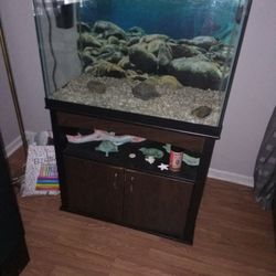 80 Gallon Tank and Stand