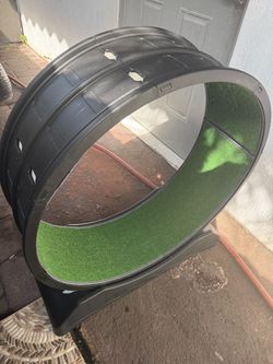 Large Cat Exercise Wheel with Artificial Grass