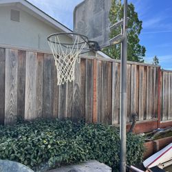 Free Basketball Hoop