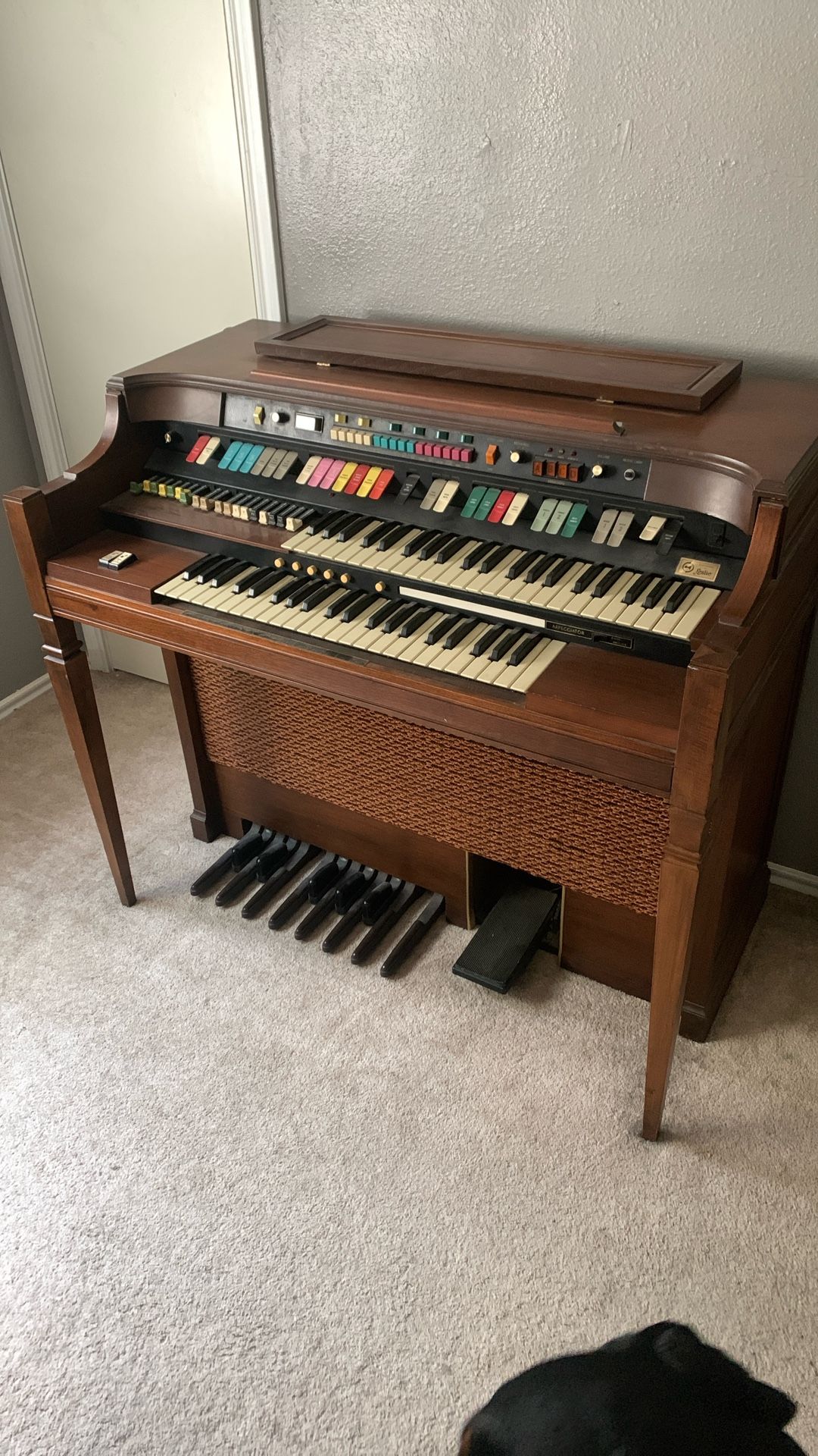 Organ