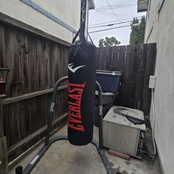 Everlast Punching Bag With Stand