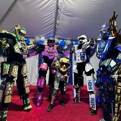 Led Robot Show, Dvj Revolution