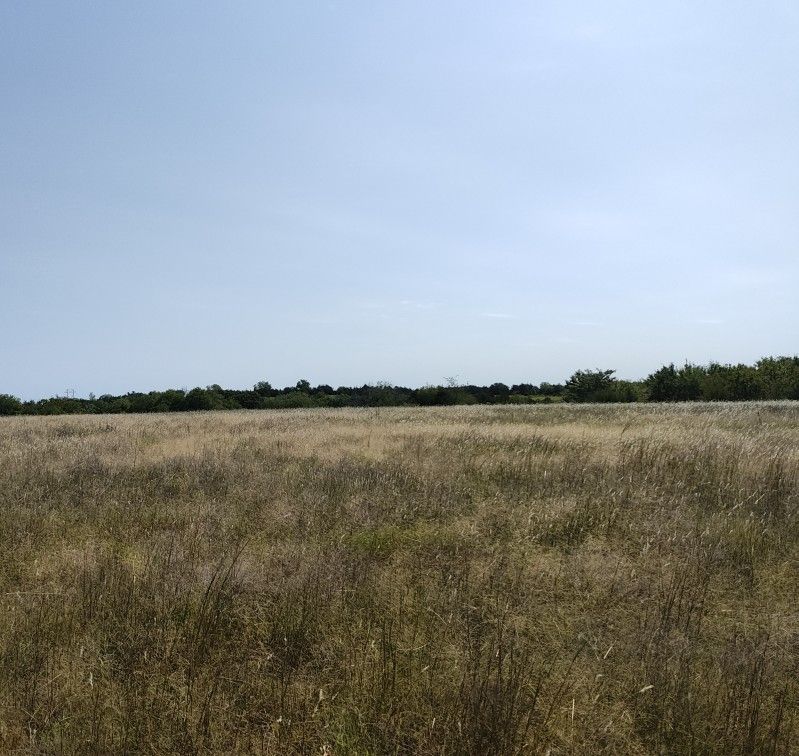 Land 70 Acres