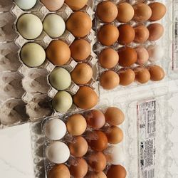 Huevos De Rancho $5.50 La Docena 