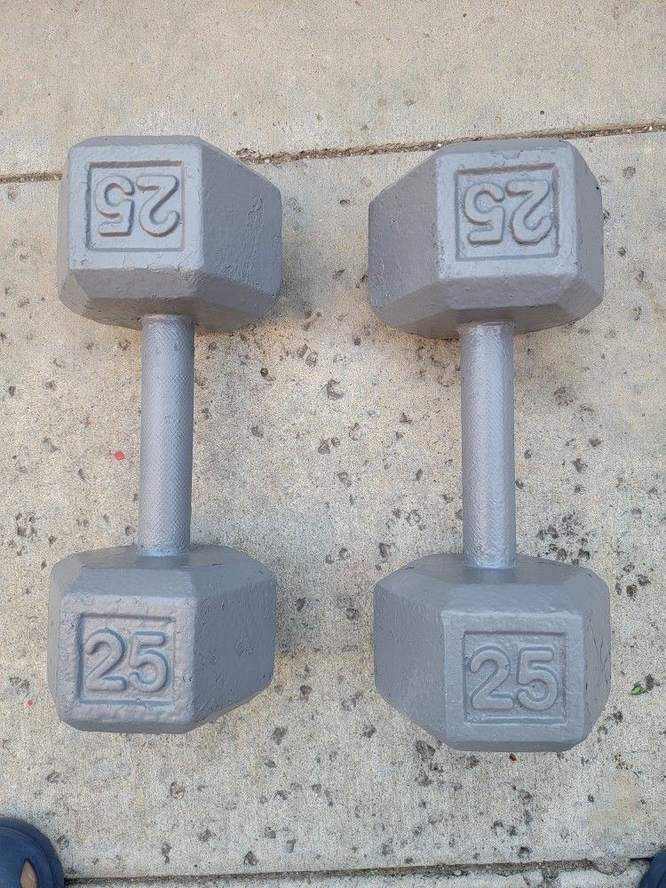 25lb Dumbbells