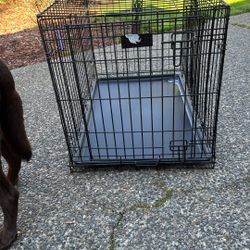 Dog Crate 