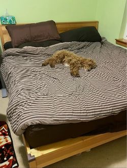 King bed frame wooden