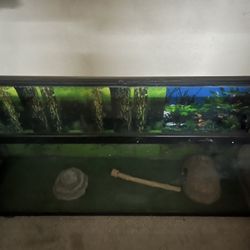 Fish Tank Or Reptile Tank 
