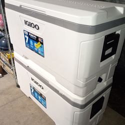 Igloo coolers