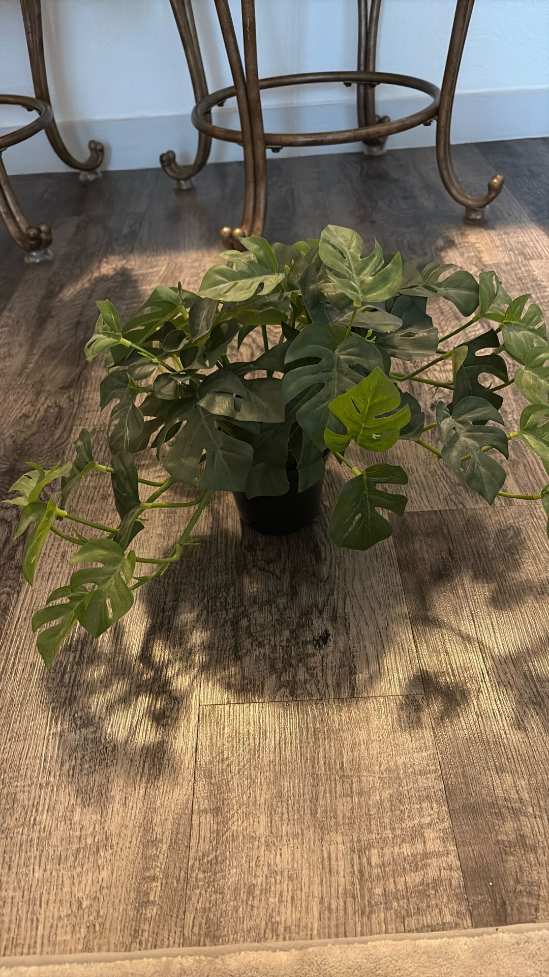 Fake Plant