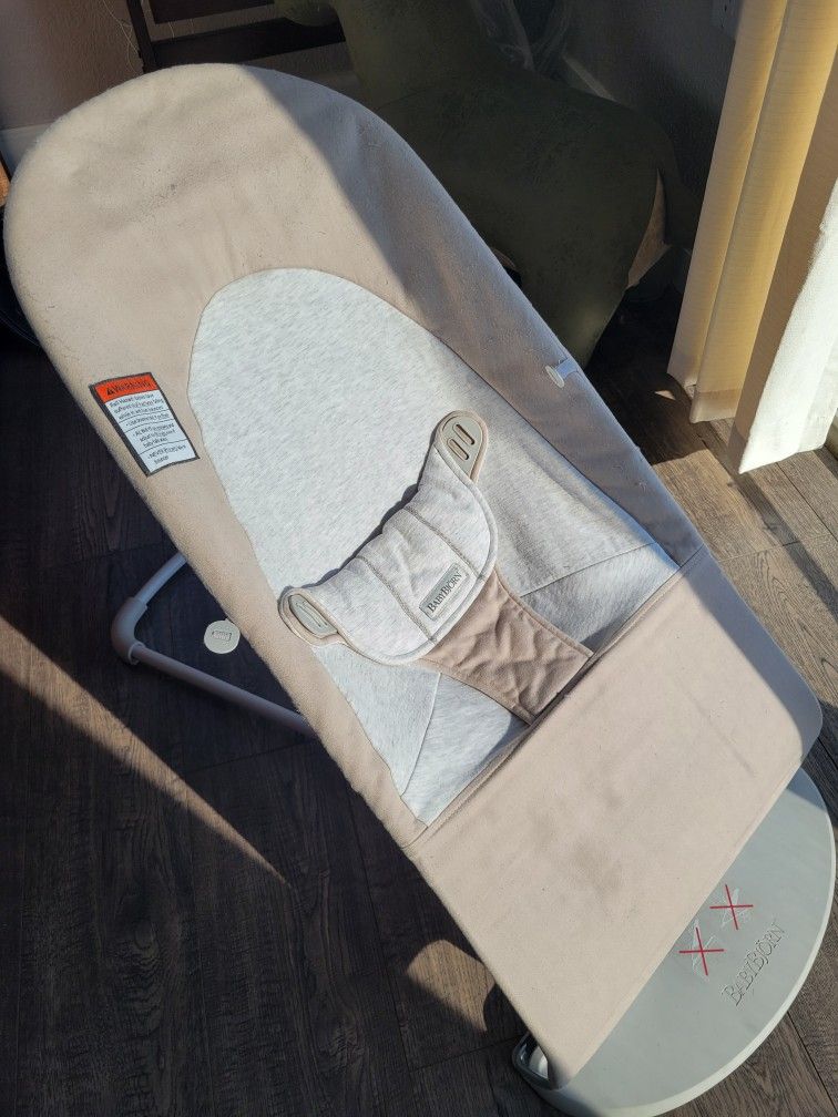 Barely Used Baby Bjorn Bouncer