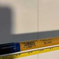 Fenwick Custom Rod/ 500 Penn