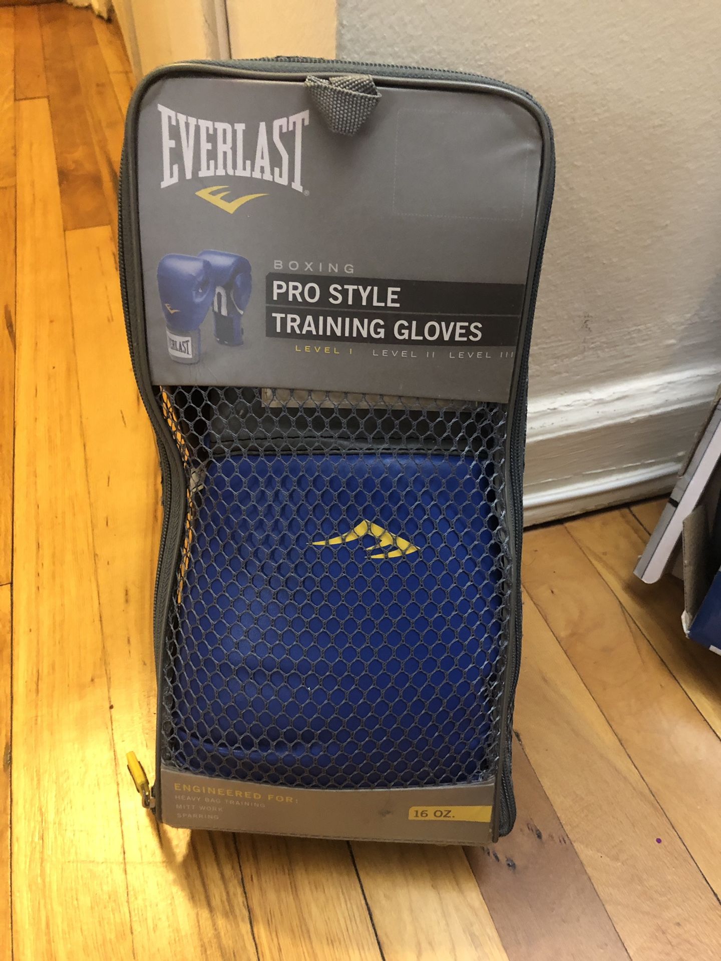 Boxing gloves plus speed bag