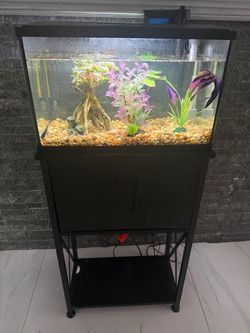 Fish Tank Aquarium