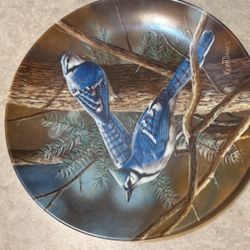Kevin Daniel Plate