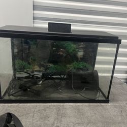 Fish Tank