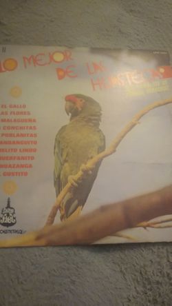 Lo mejor de las huastecas