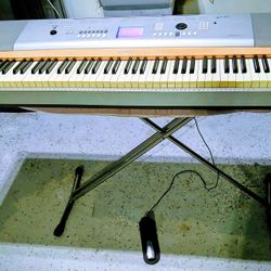 Electric Piano