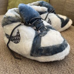 Air Jordan Dior Slippers 
