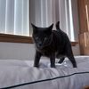 Elvira