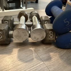 Weights 3lb, 5lb, 8lb