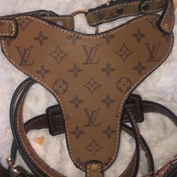 Dog Harness And Leash
