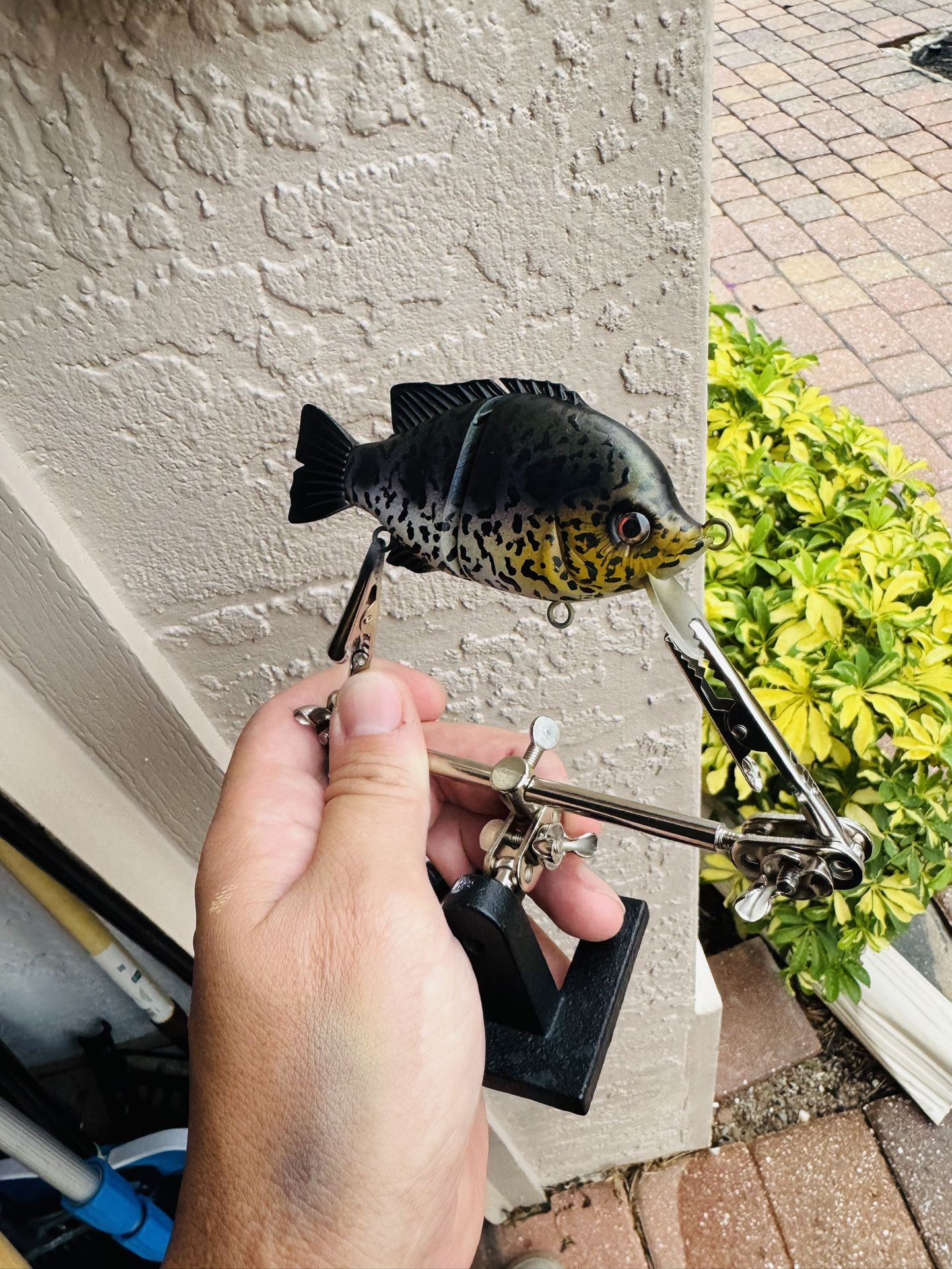 Custom Painted Juvenile Jaguar Guapote Cichlid Glide Bait