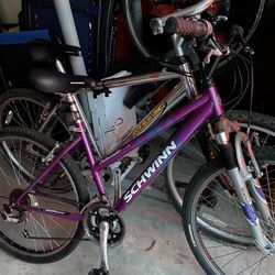 Schwinn Bicycle 