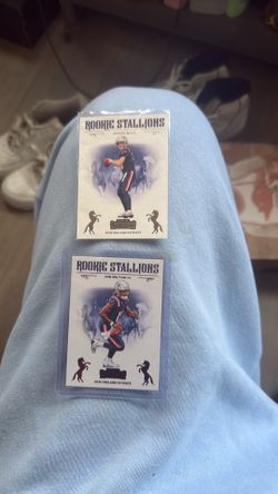 Panini Contenders Football Rookie Stallions Cards