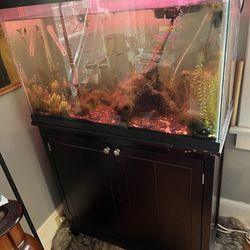 29 Gal Fish Tank 