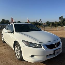 2010 Honda Accord EXL