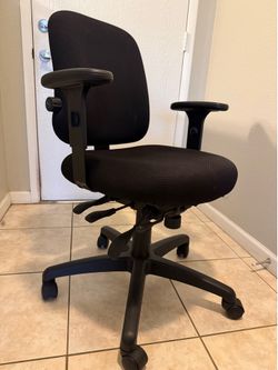 Ergo Office chair: $60
