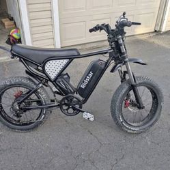 Ridstar-Q20 Electric-Bike