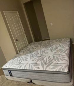 KING SEALY MATTRESS AND FREE BOX SPRINGS