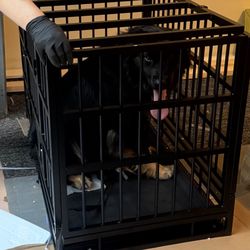 Dog Cage 38 Inch 