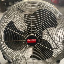 Fan