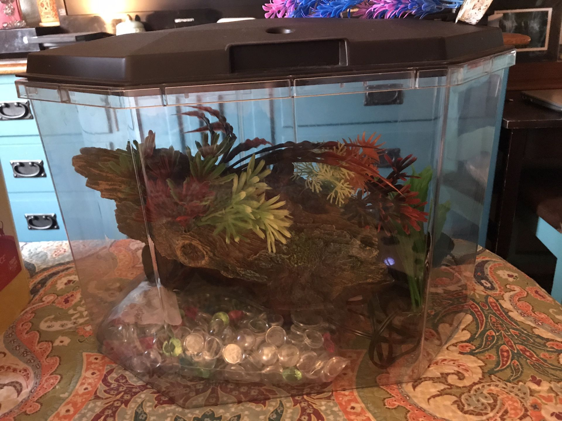 6gallon fish tank