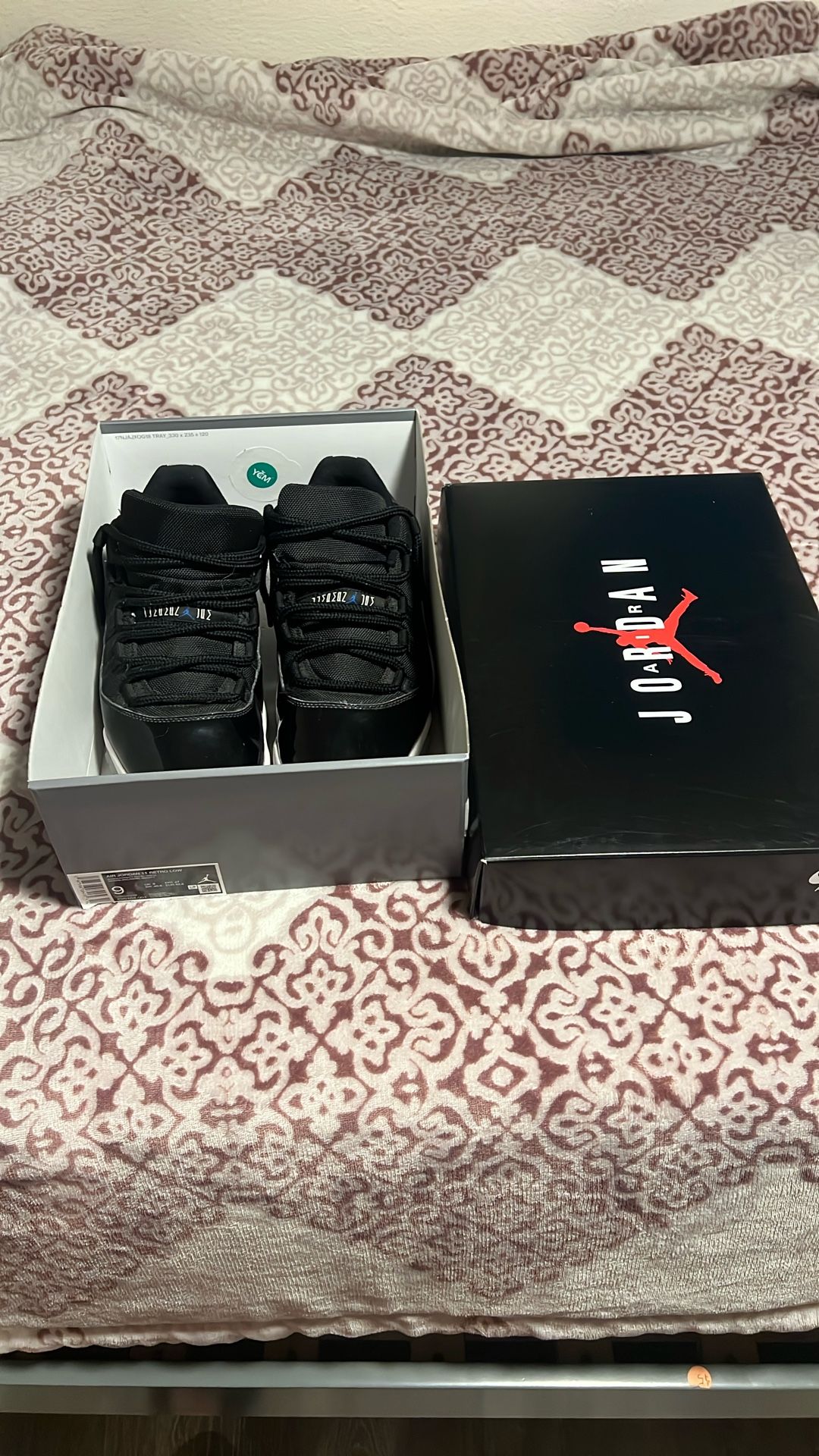jordan 11 low