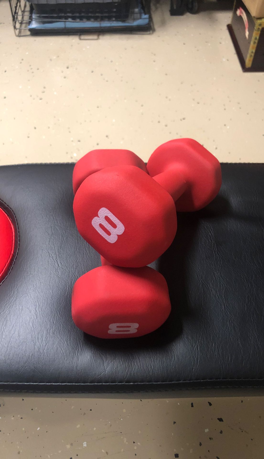 8lb Dumbbell Pair Weight Exercise