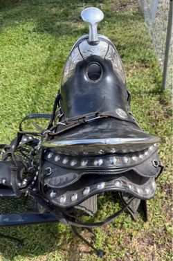 Saddle/silla de montar