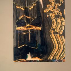 Belly Dancer Costume Top,pants,skirt,veil,panties